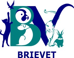 Clinique Vétérinaire BRIEVET